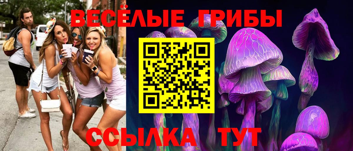 Барнаул  Псилоцибиновые грибы мицелий  Галлюциногенные грибы мицелий  Вход с VPN 