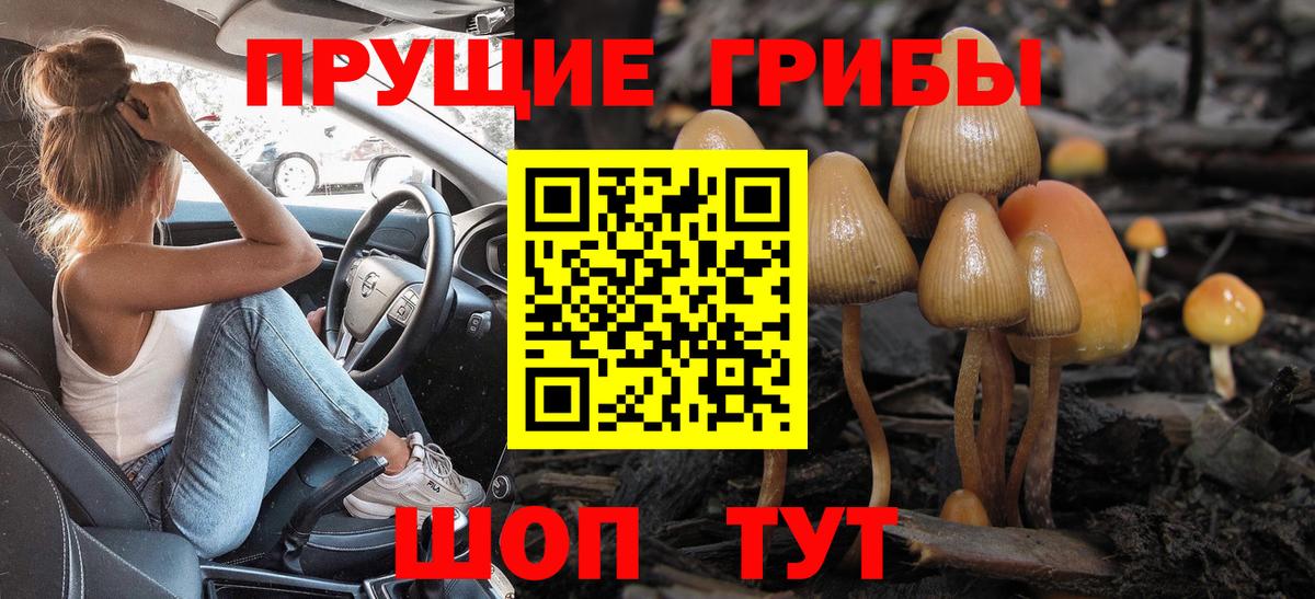 Галлюциногенные грибы MAGIC MUSHROOMS Барнаул